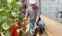 网红吃瓜照片全集视频,全集照片与视频精彩回顾